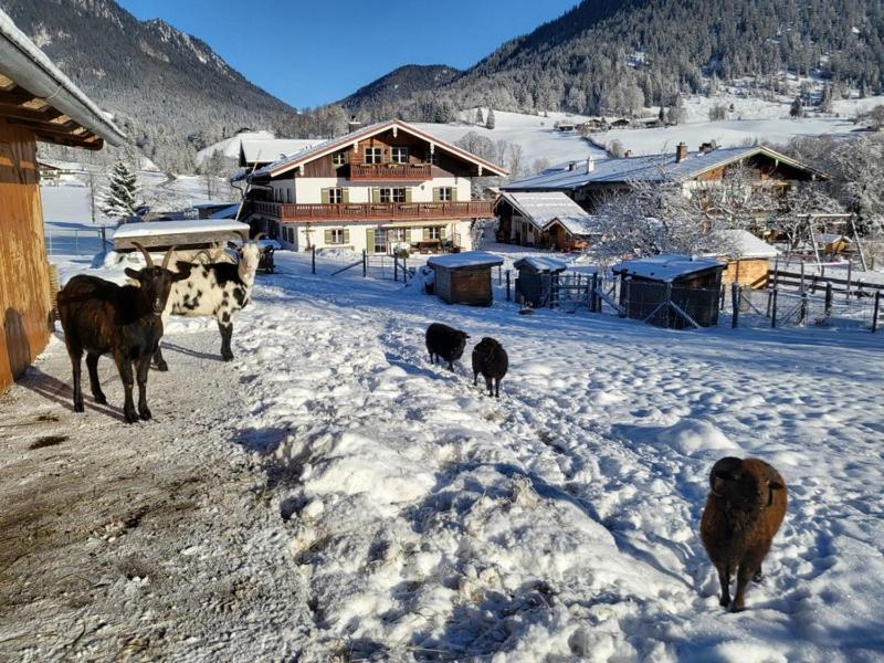 Gaestehaus Hinterponholz Ramsau bei Berchtesgaden Exteriör bild